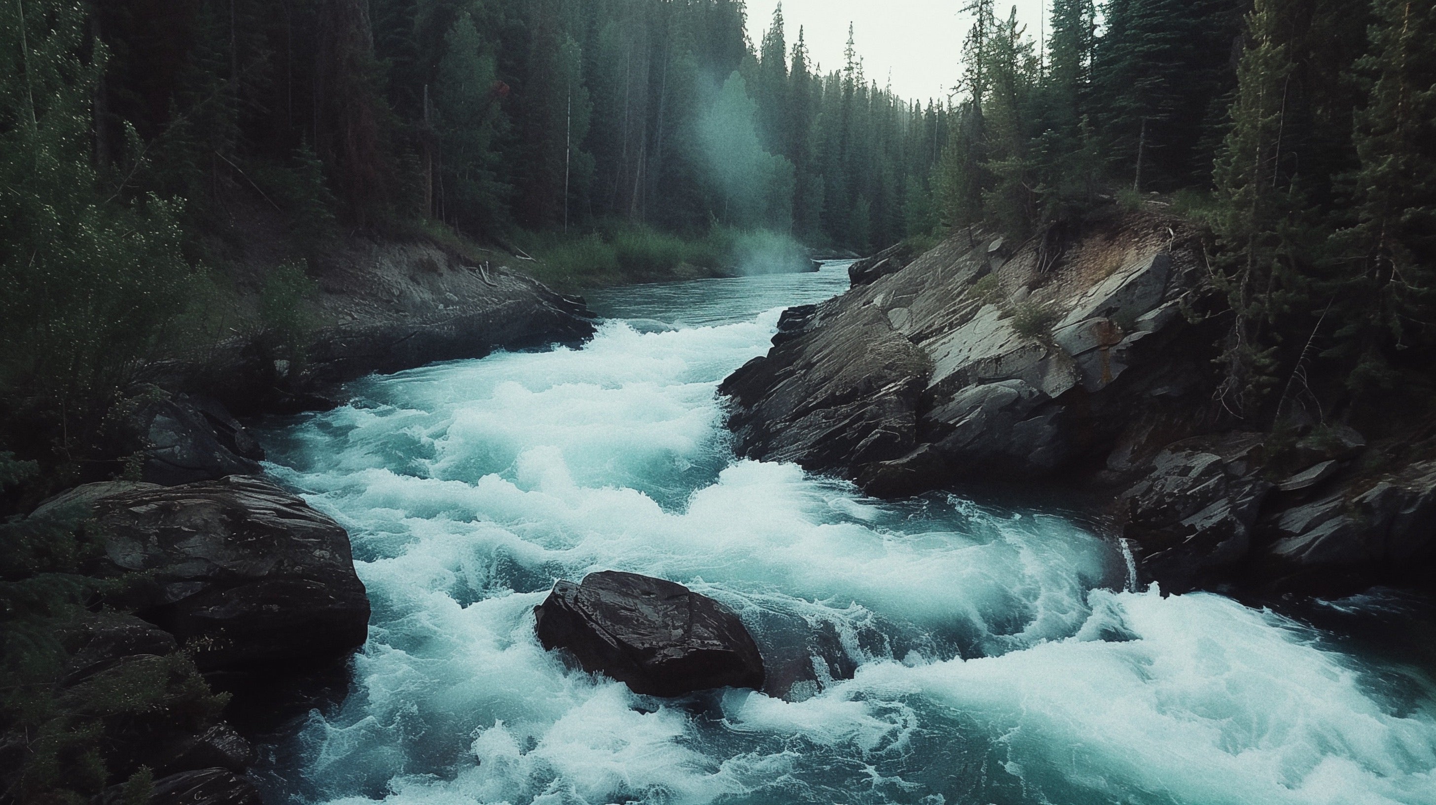Canoes – The Complete Paddler