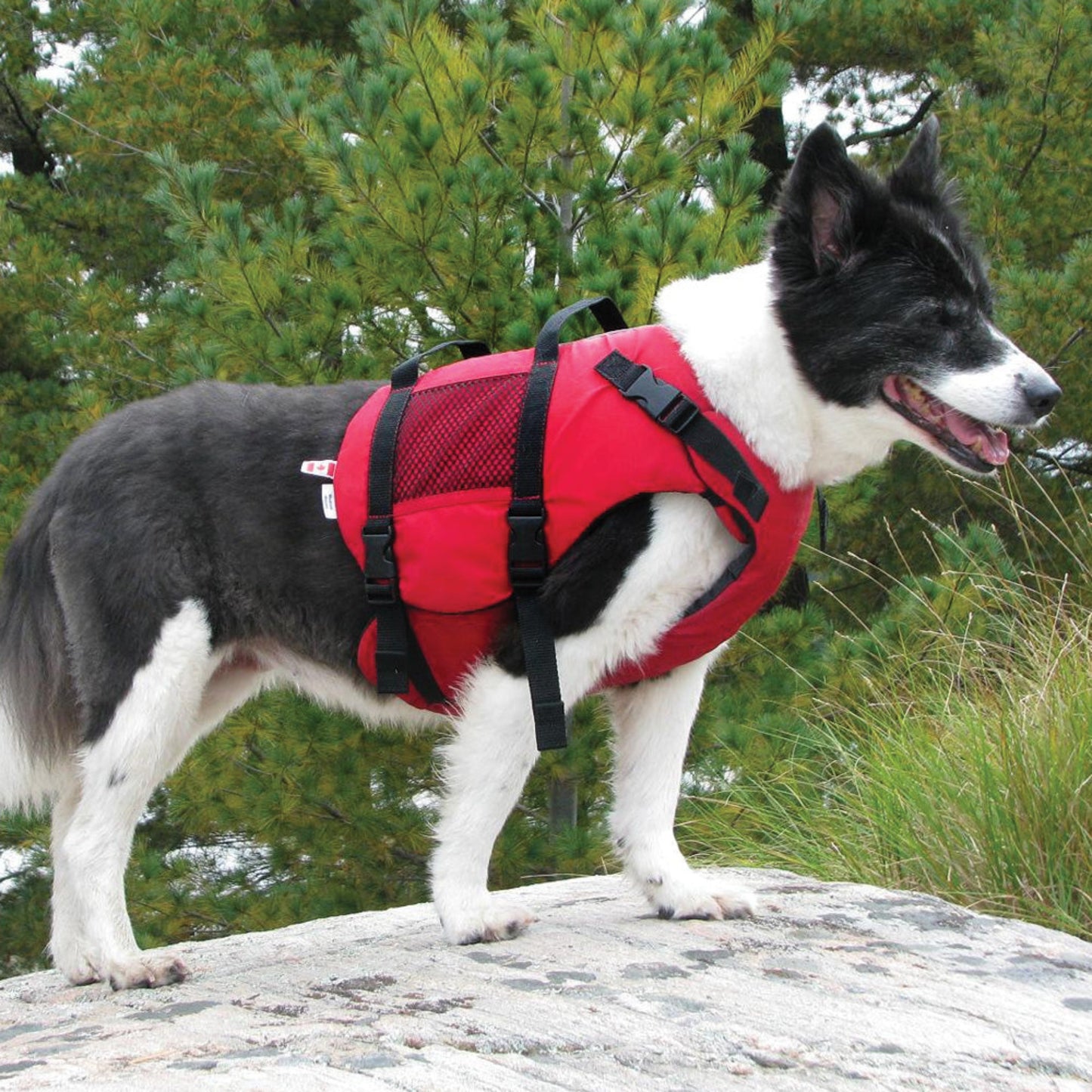 Salus Skippy Dog PFD Red